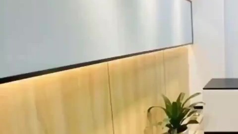 惠灵顿凤凰vs中央海岸水手比分预测：两连冠崩塌，季后赛门票生死战谁能笑到最后？